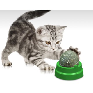 Cỏ mèo catnip dạng bóng cho mèo