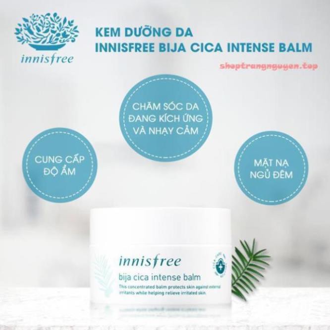 Kem dưỡng da cho da mụn INNISFREE BIJA CICA INTENSE BALM - 7ml - 15ml