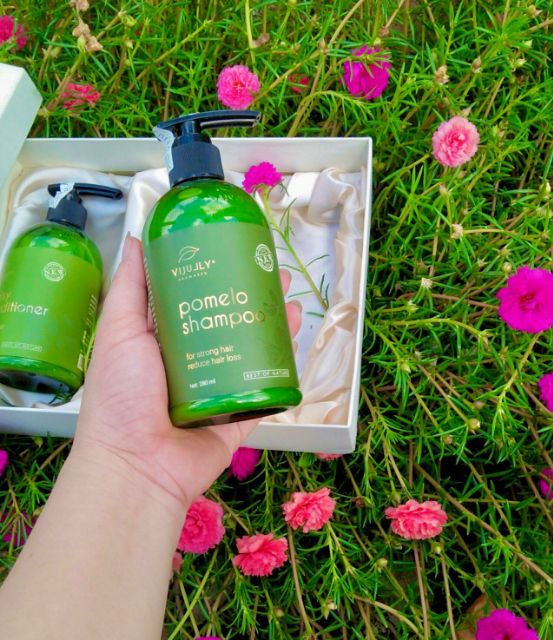 Dầu Gội Bưởi Pomelo Shampoo Vijully