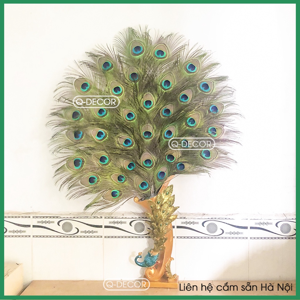 Bình cắm lông công Q Decor và 36 cành lông công phong thủy mắt to 4-6cm