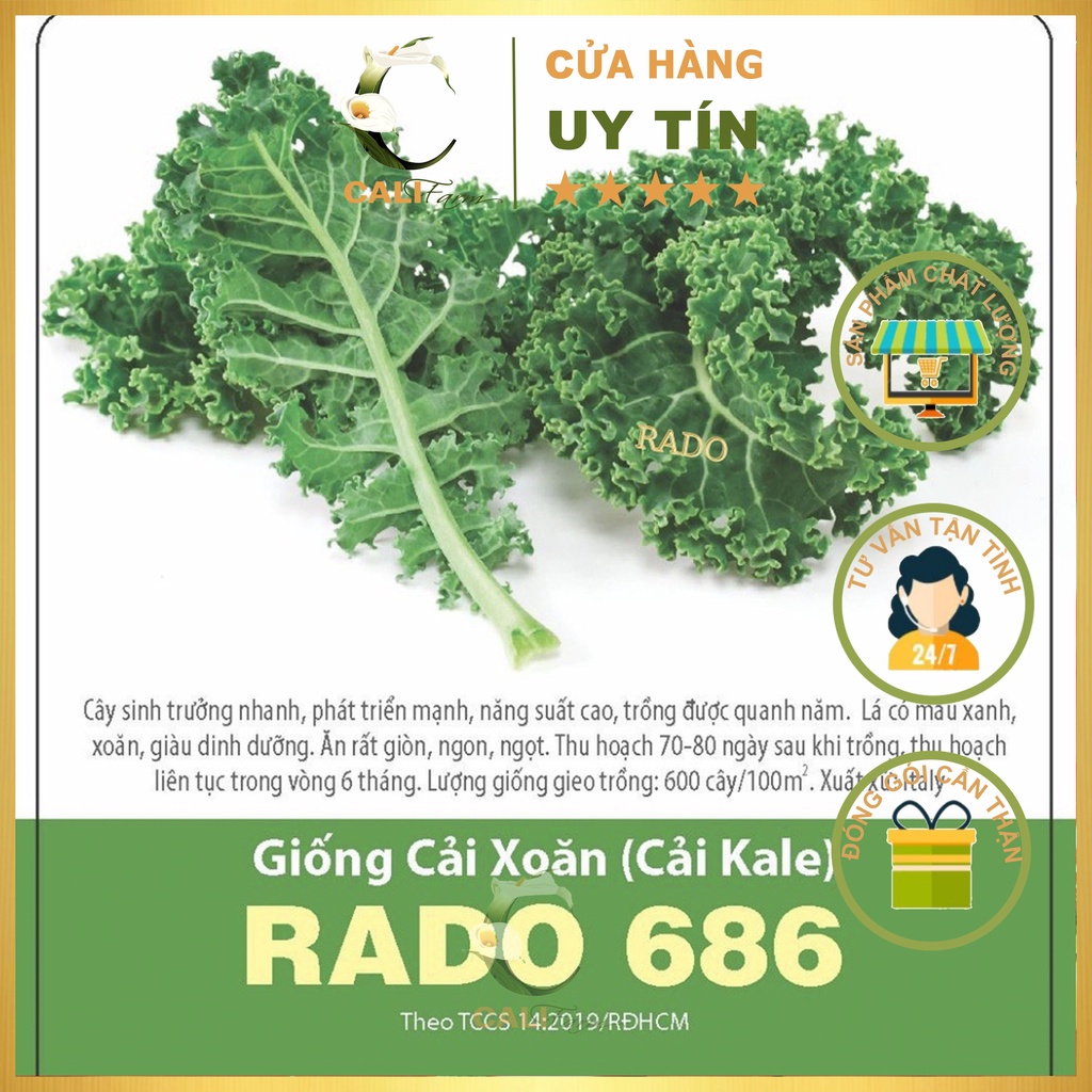 Hạt Giống Cải Xoăn (Cải Kale) Rado 686 (5gr) Dễ Trồng, Năng Suất Cao