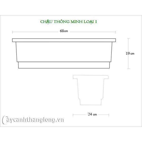 Chậu chữ nhật trồng cây thông mình 67x24cm