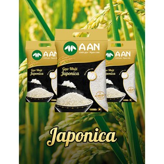 COMBO 5 BỊCH Gạo sạch gạo Nhật Japonica bịch 5kg - HẠT DẺO MỀM THƠM NGON