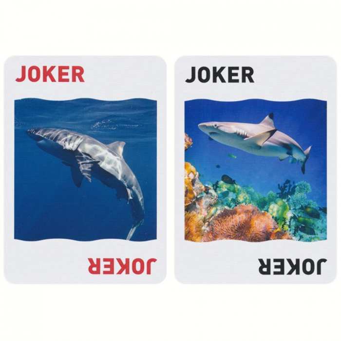 Bài ảo thuật : Bicycle Sharks Playing Cards