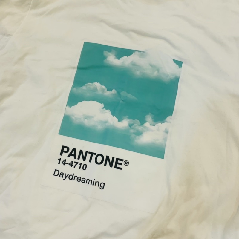 Áo thun LOGO PANTONE SAU LƯNG cotton màu trắng - goodtimes.sg