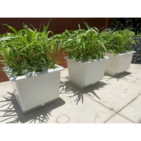 Thùng nhựa thủy canh Trí Toàn kết hợp thủy canh tĩnh và thủy canh hồi lưu trồng rau ăn lá 9 lỗ