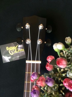 Đàn ukulele concert