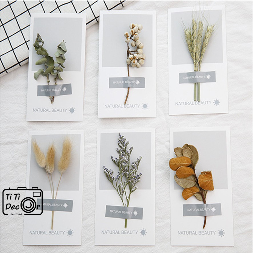 Hoa thiệp trang trí chụp ảnh, decor nhà cửa, cửa hàng