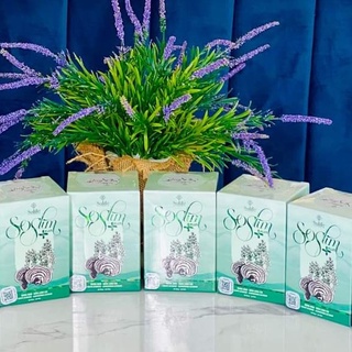 Combo 5 hộp viên uống giảm cân Soslimplus tặng kèm detox