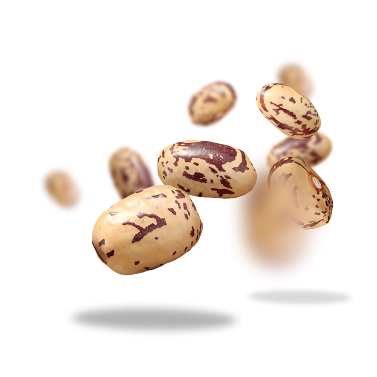 Đậu cúc (Pinto) Ý hữu cơ Sottolestelle Organic Italian Borlotti Beans