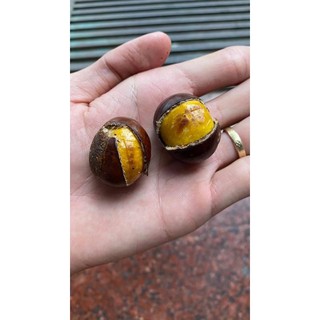 [Sale khủng] Bánh hạt dẻ sapA
