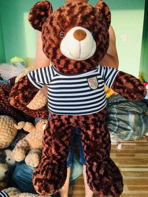 Gấu bông teddy khổ vải 1m chiều cao thực tế 80cm