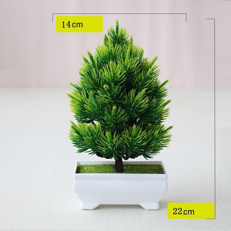 Chậu Cây Thông Xanh Giả Để Bàn, Để Trang Trí Kệ Treo Tường, Giá Sách.