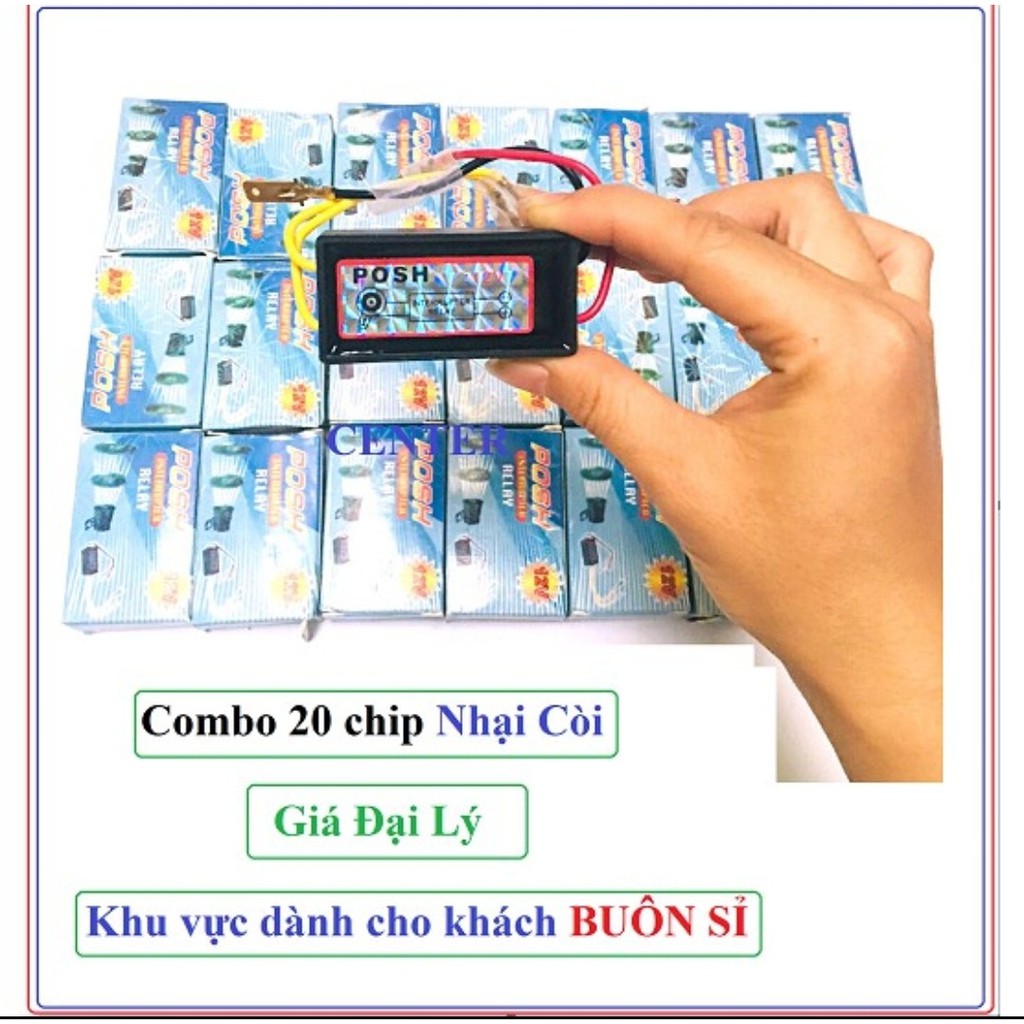 CHÍP NHẠI CÒI KÍCH ÂM TRẦM BỔNG