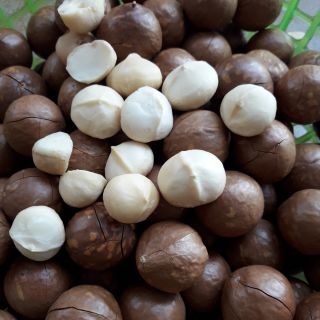 Hạt macca sấy combo
