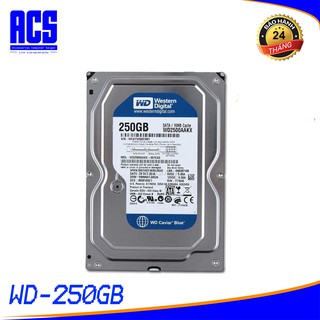[ Tặng Dây Sata] - Ổ cứng gắn trong HDD WD Blue 250GB - Hàng Chính Hãng - BH 2 năm - 1 đổi 1