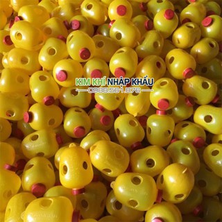 Lồng nhựa bẫy ruồi vàng đục trái - D86