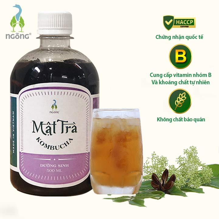 Mật Trà Kombucha Dưỡng Sinh 500ml