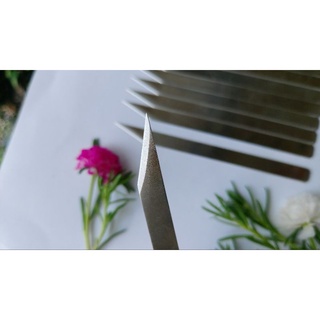 Dao Xẽ Tôm - Sét 5 Cây. Chất Liệu Inox 304 Cao Cấp Không Rỉ Sét. 5 Cây Dao Xẽ LưngTôm + Rút Tim Tôm