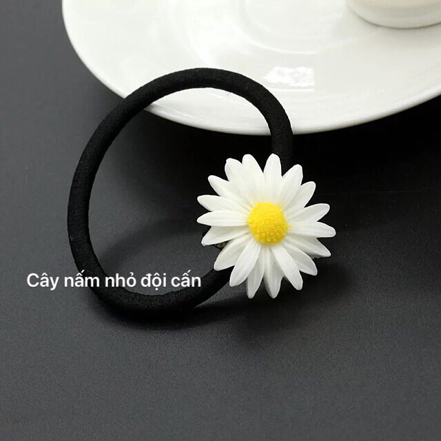 (rẻ vô địch)combo 10c cúc hoạ mi:cặp,buộc