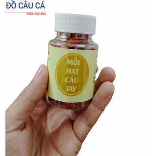 Mồi hạt câu cá  mồi hạt câu tay Quang Huy