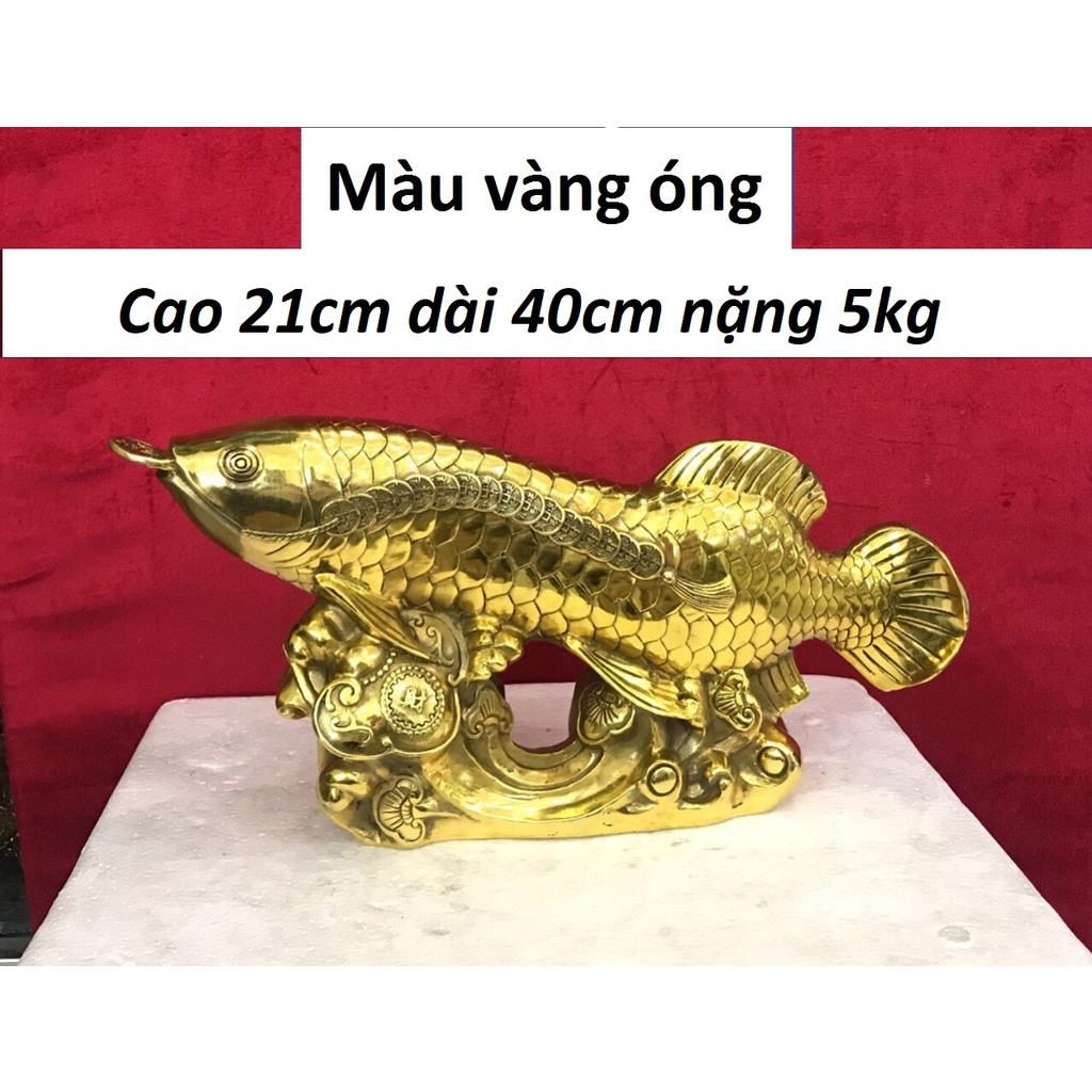 Tượng cá rồng ngậm tiền bằng đồng MS1050
