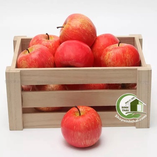 Trái táo đỏ - Quả táo mỹ giả cao cấp