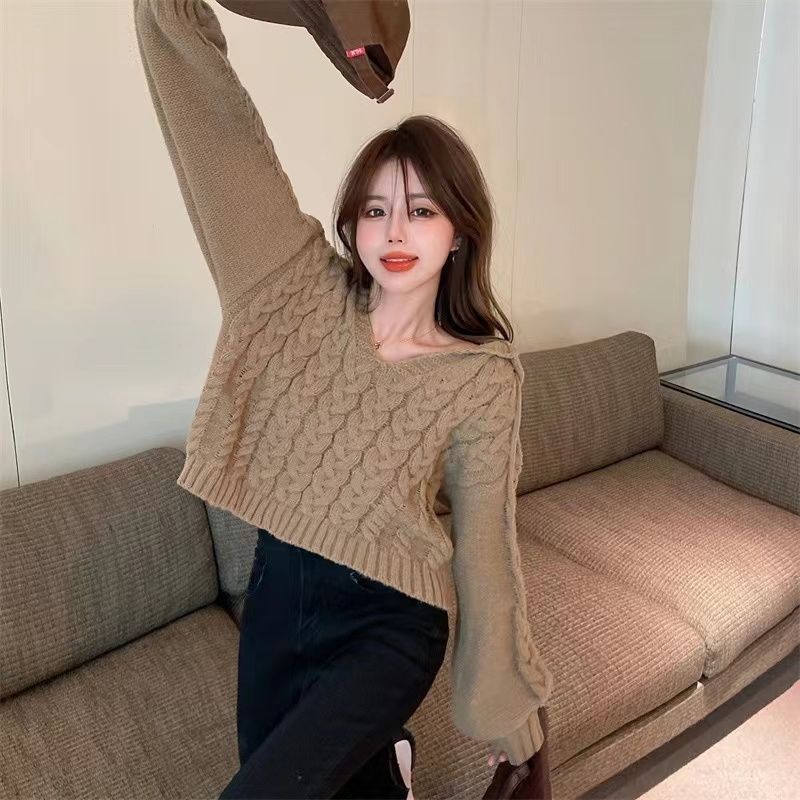 Áo Hoodie Dệt Kim Thời Trang Thu Đông Phong Cách Mới