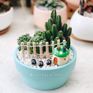 Chậu Xương Rồng Mix Phụ Kiện Để Bàn