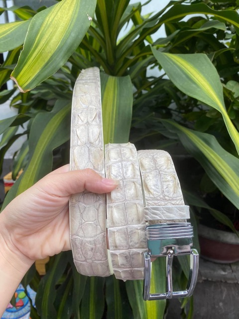 DÂY THẮT LƯNG DA CÁ SẤU THẬT TRẮNG | RYRY STORE