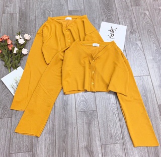 Croptop Tay Dài Cổ V Gài Nút