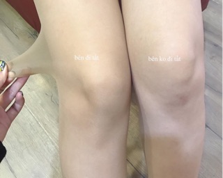 Set 5 quần tất Panty Nhật