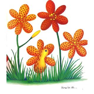 Bạn Chim Cút Chơi Trốn Tìm