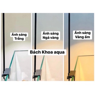 Đèn Led rọi Coco 3 chế độ màu cho bể cá