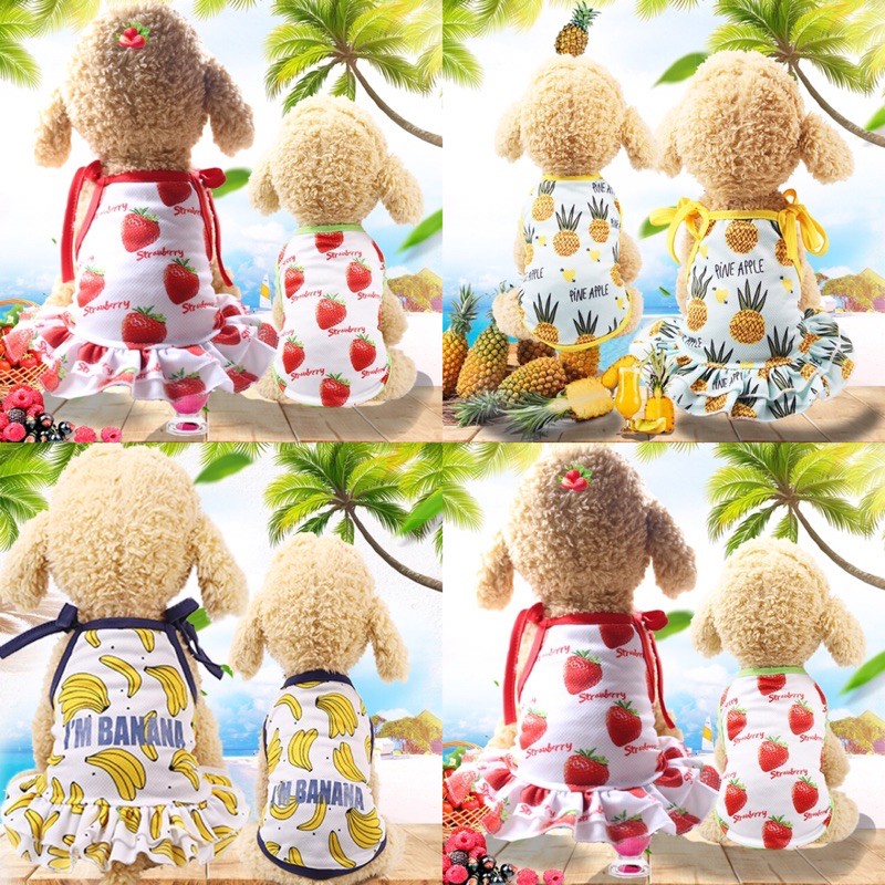Áo 3 Lỗ, Váy 2 dây mùa Hè dễ thương cho chó/mèo