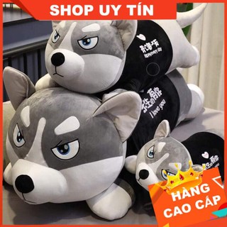 Chó Husky Bông, Chó Bông Huskey