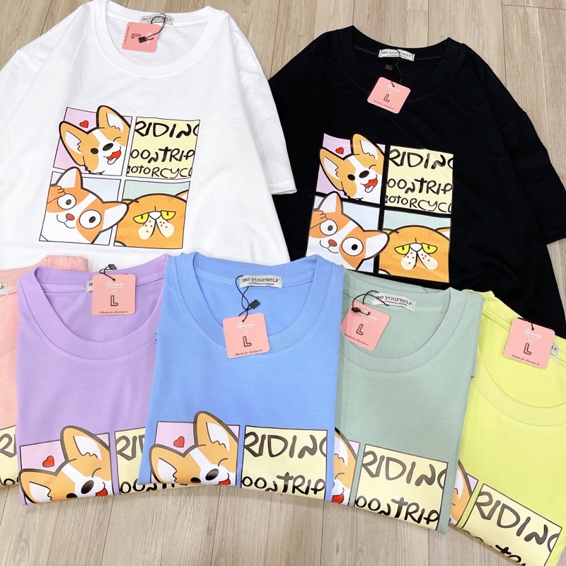 Áo Thun PHÔNG NAM NỮ UNISEX in Decal CHÓ CÚN DOG CORGI - Hình chụp thật
