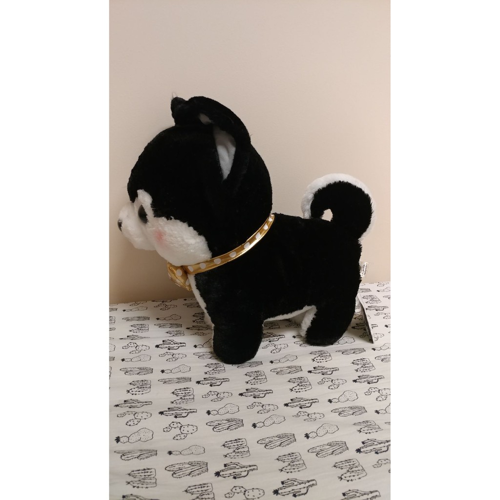 Mameshiba Premium Big Chính Hãng Gấu Bông Nhật Amuse Authentic