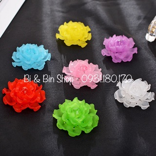Decal Bướm sắc màu PK426