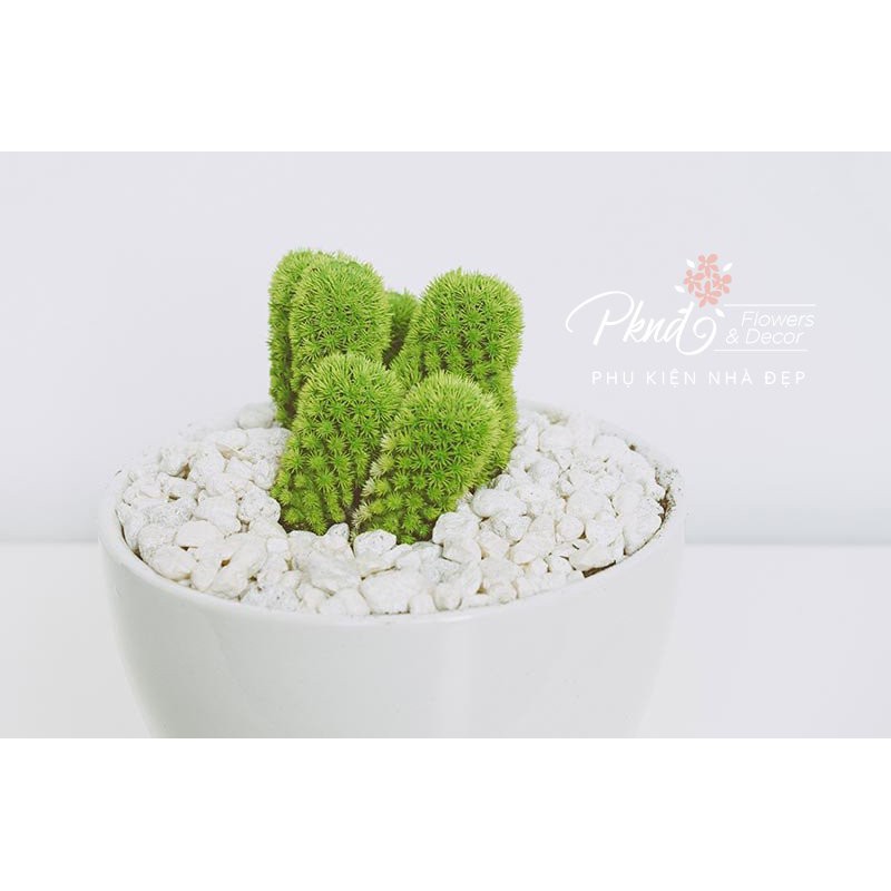 [Mã BMBAU50 giảm 7% đơn 99K] Sỏi trắng trang trí tiểu cảnh cỡ viên 1-3cm, bịch 500g PKND FLOWERS &amp; DECOR