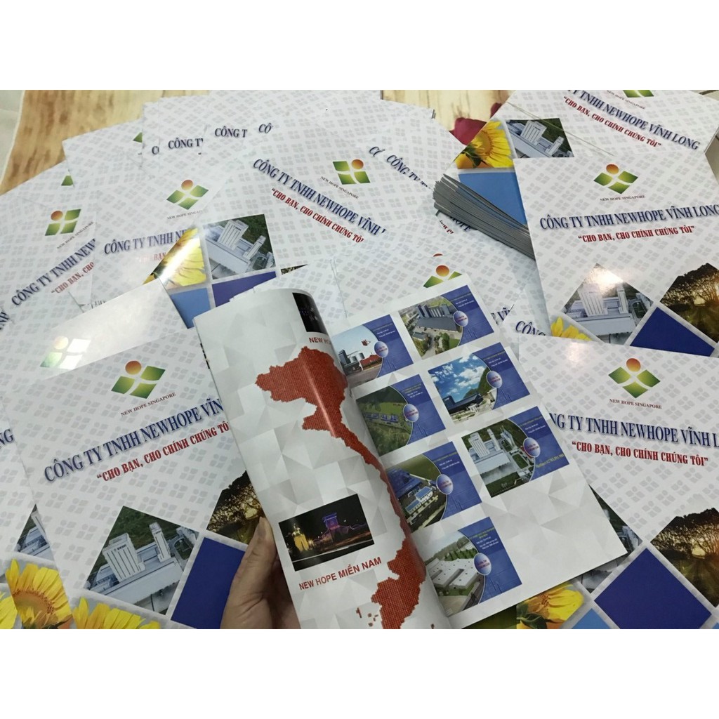 catalogue đóng kim-In Bạch Dương