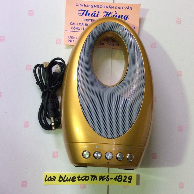 Loa Bluetooth ws-1829