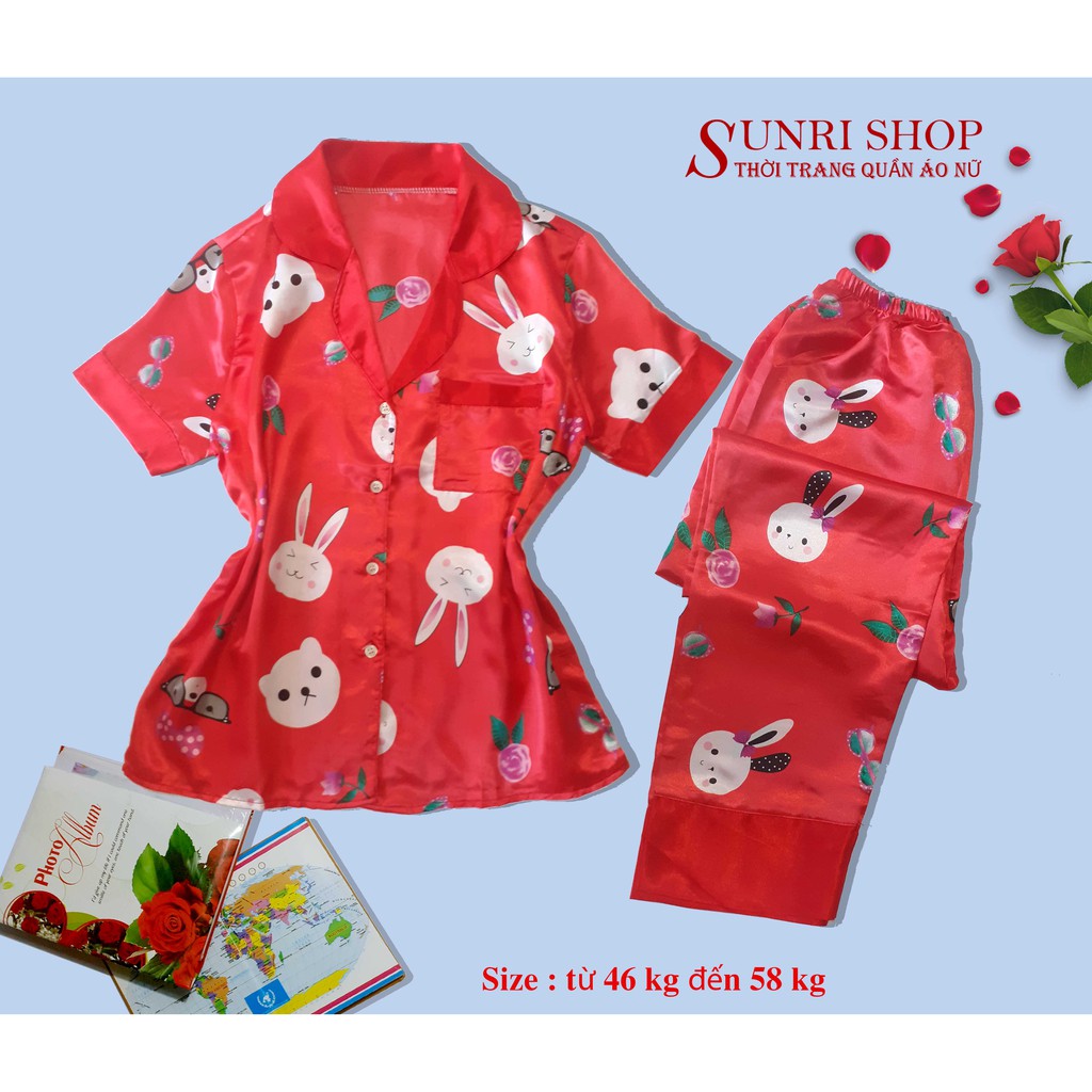 Đồ Bộ Mặc Nhà Nữ - Pijama Dài Chất Phi Bóng Sunri Shop Size 46 - 65 Kg