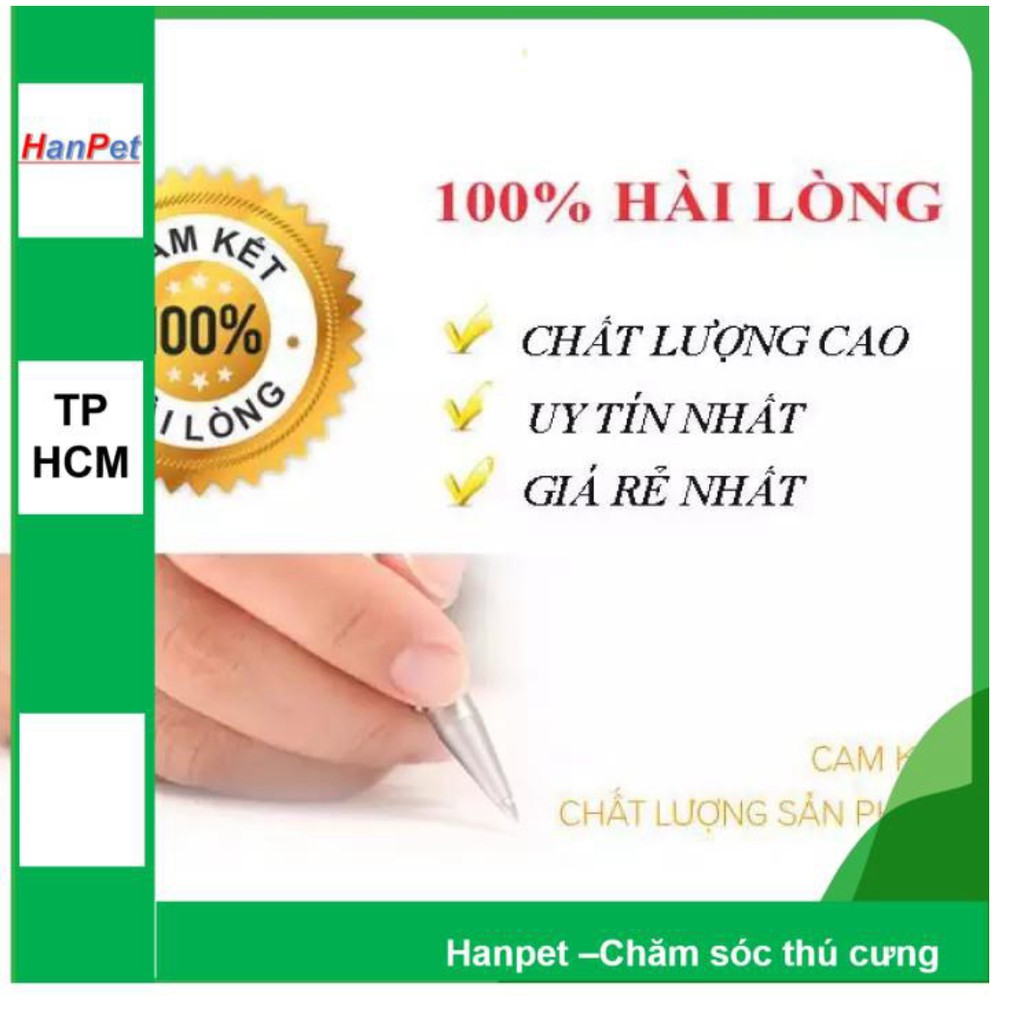 Hộp 2 gói hạt giống cỏ mèo (hanpet 384) tặng kèm 1 gói bột cỏ mèo