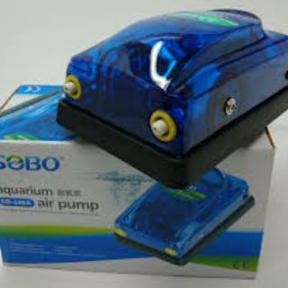 Sủi oxi sobo