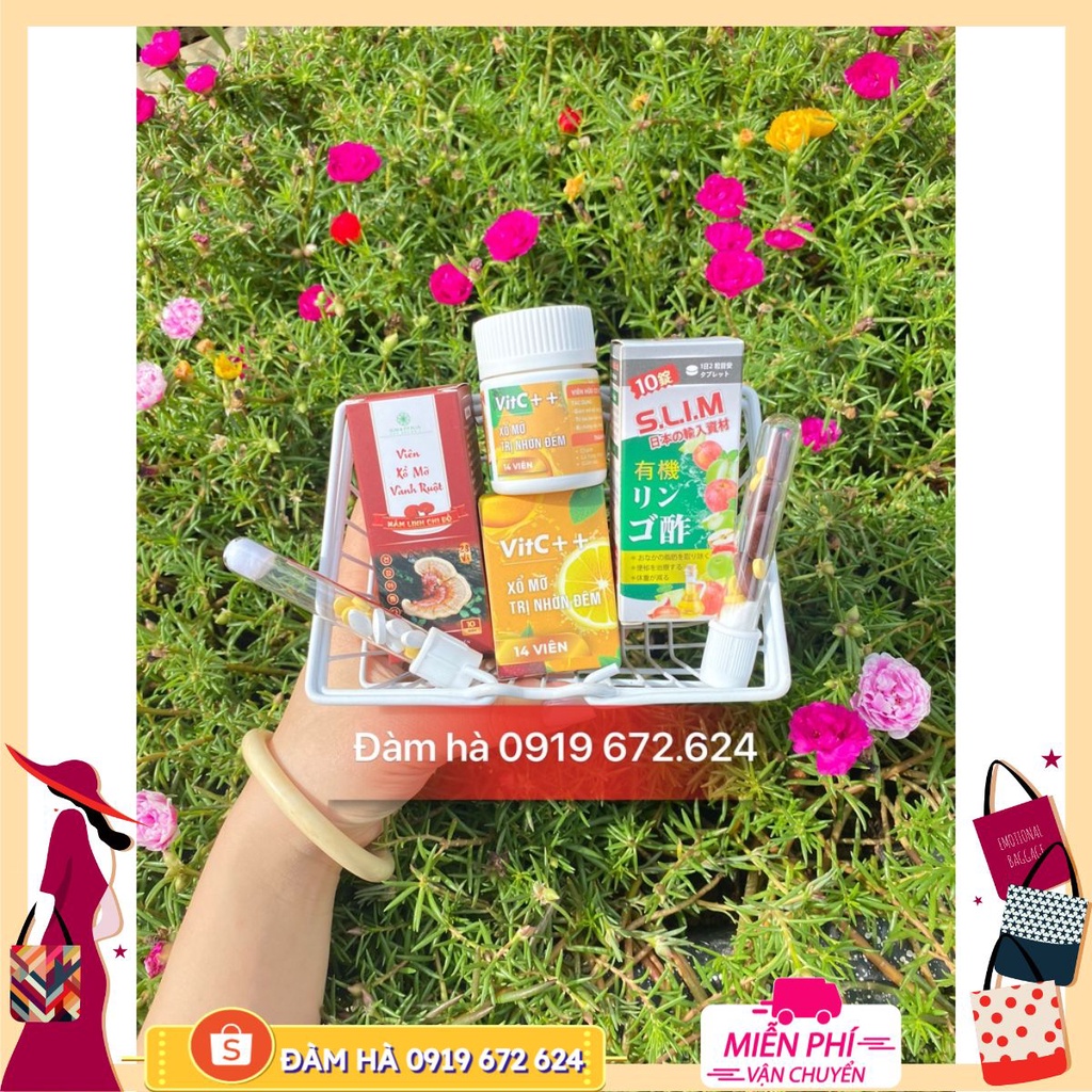 Xổ mỡ vành ruột linh chi đỏ slim fit - xổ giấm táo đêm - xổ mỡ vit c