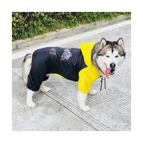 Áo mưa cho chó cưng vừa và lớn săn lông vàng Alaska Husky Samoyed master poncho trang phục cha mẹ-con