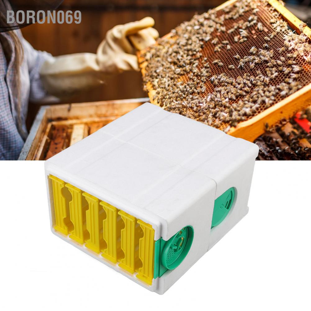 Ong chúa hai lớp Nuôi ong bầu Hộp xốp Khung Tổ Dụng cụ nuôi Thiết bị Boron069