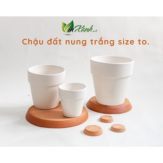 Combo 5 chậu đất nung 9x9cm
