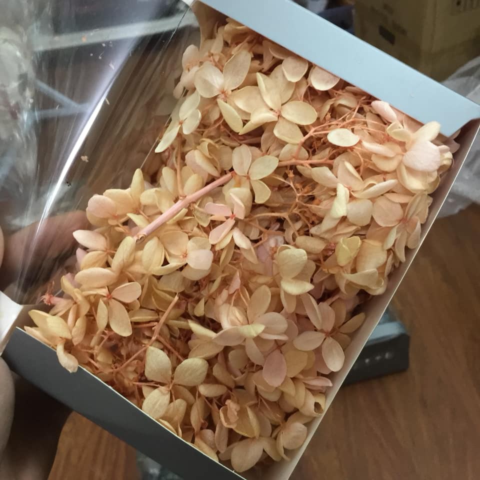Hộp hoa khô siêu lớn